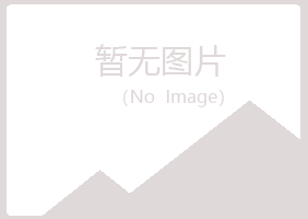 沈阳埋没音乐有限公司